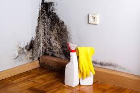 Forensic Mold Investigation in Palos Heights, IL